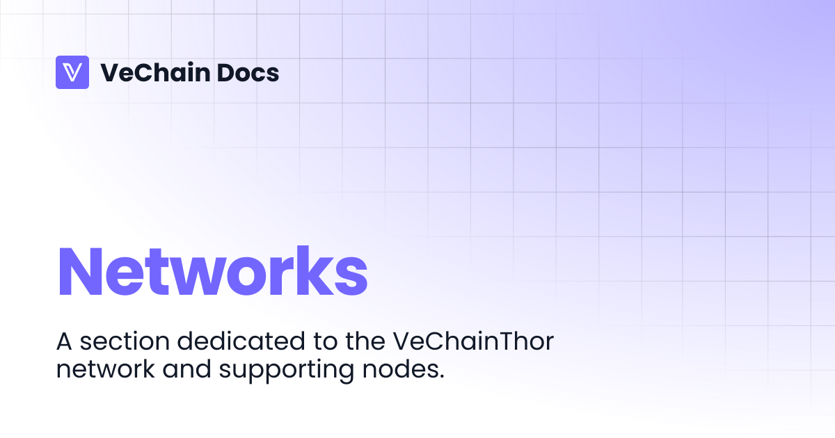 Networks | VeChain Docs