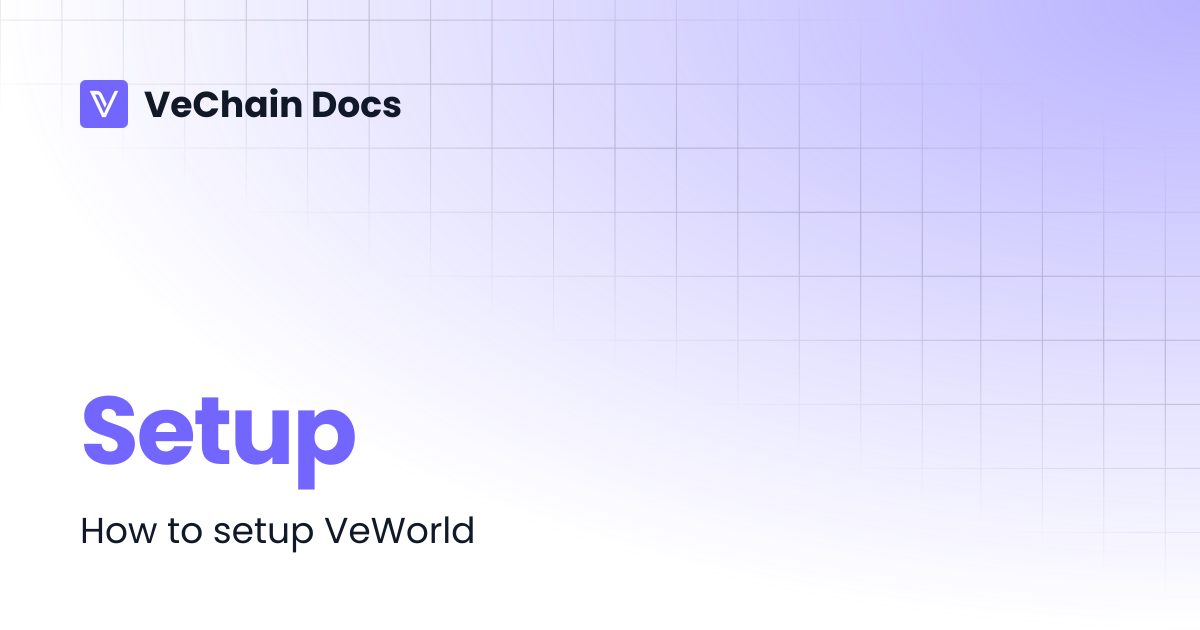 Setup | VeChain Docs
